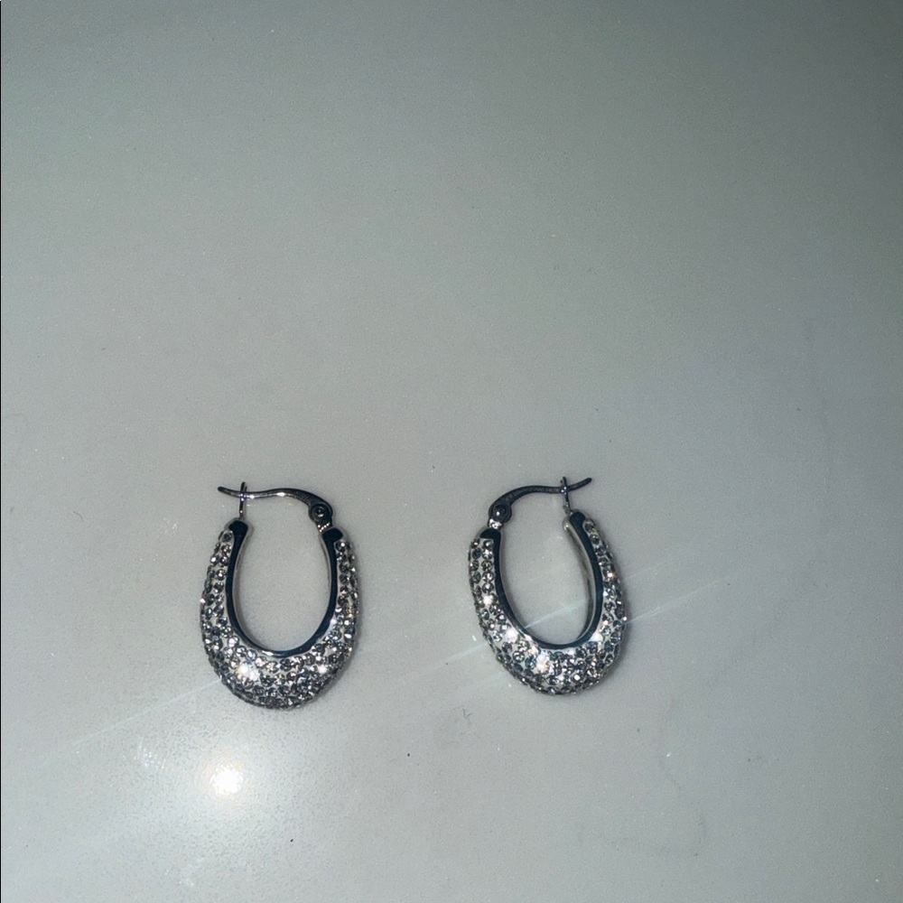 Elegant Silver Hoop Earrings